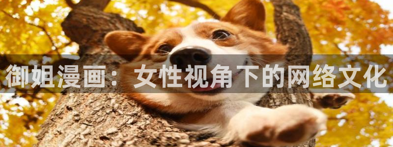 喵趣漫画破解