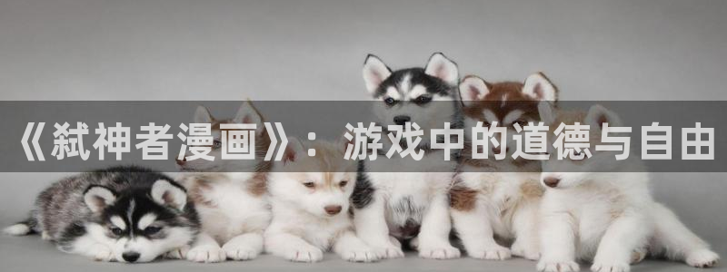 喵趣漫画为什么用不了了