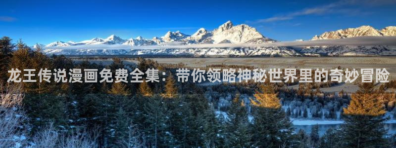 喵趣动漫下载官网