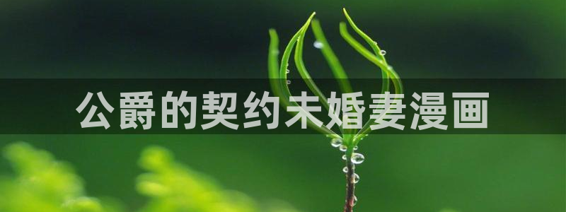 喵趣漫画1.1.2.3