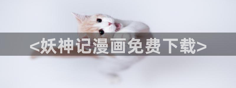 喵趣最新版本