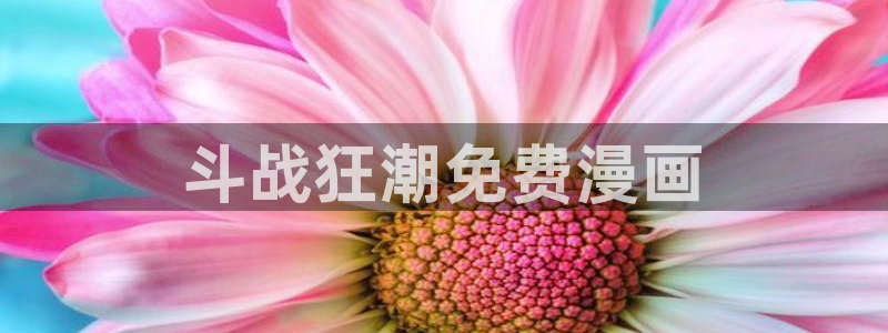 喵趣玩
