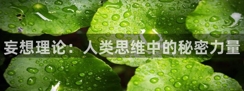 喵趣漫画官网版下载：妄想理论：人类思维中的秘密力量