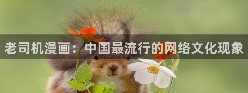 喵趣漫画在线