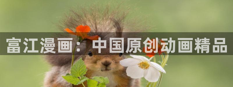 喵趣漫画jx