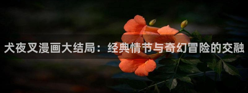 喵趣漫画软件免费下载