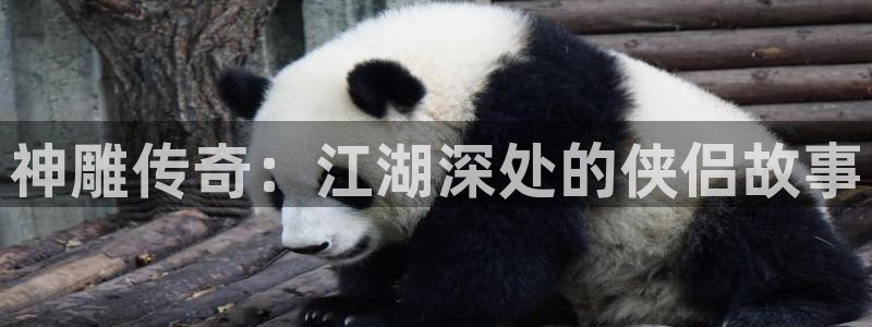 喵趣漫画下载链接